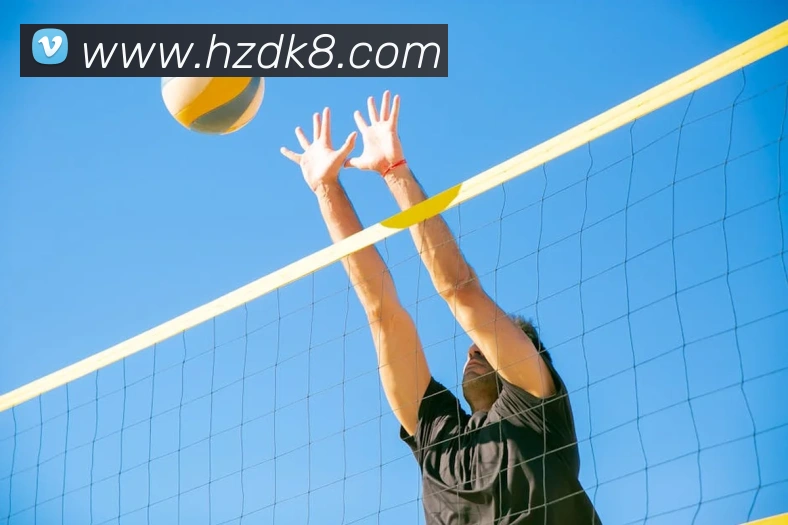 凯发K8发展历程