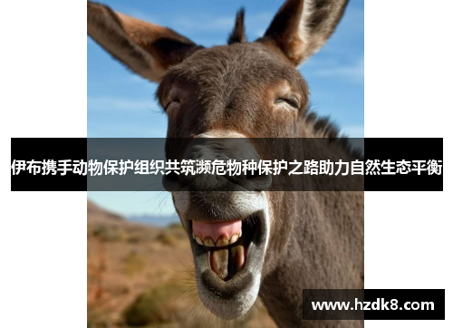 伊布携手动物保护组织共筑濒危物种保护之路助力自然生态平衡