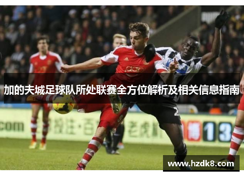 加的夫城足球队所处联赛全方位解析及相关信息指南